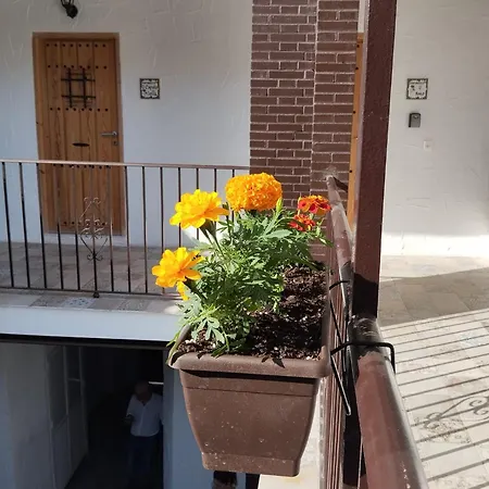 Апартаменти San Mateos 15 Херес-де-ла-Фронтера