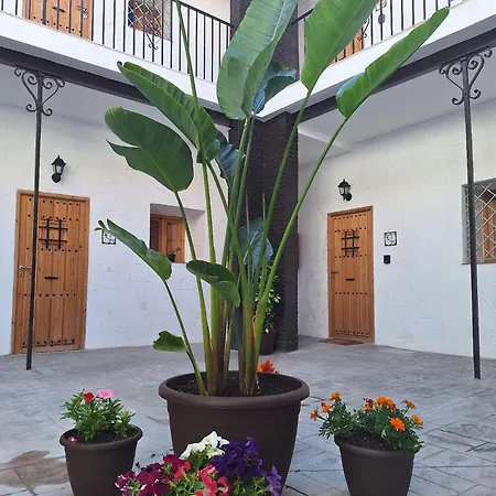 Apartman San Mateos 15 *