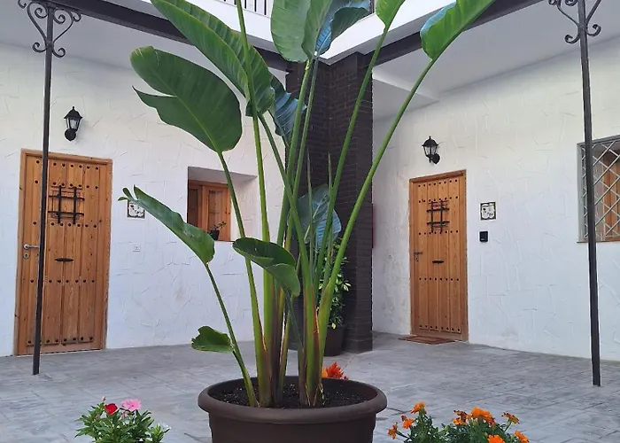 Διαμέρισμα San Mateos 15 *