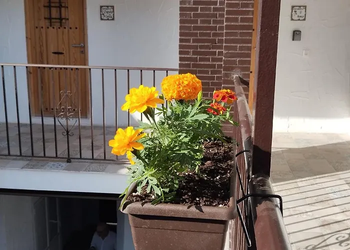 Lägenhet San Mateos 15 Jerez de la Frontera